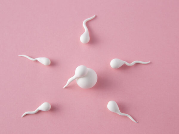 Increase Sperm Count