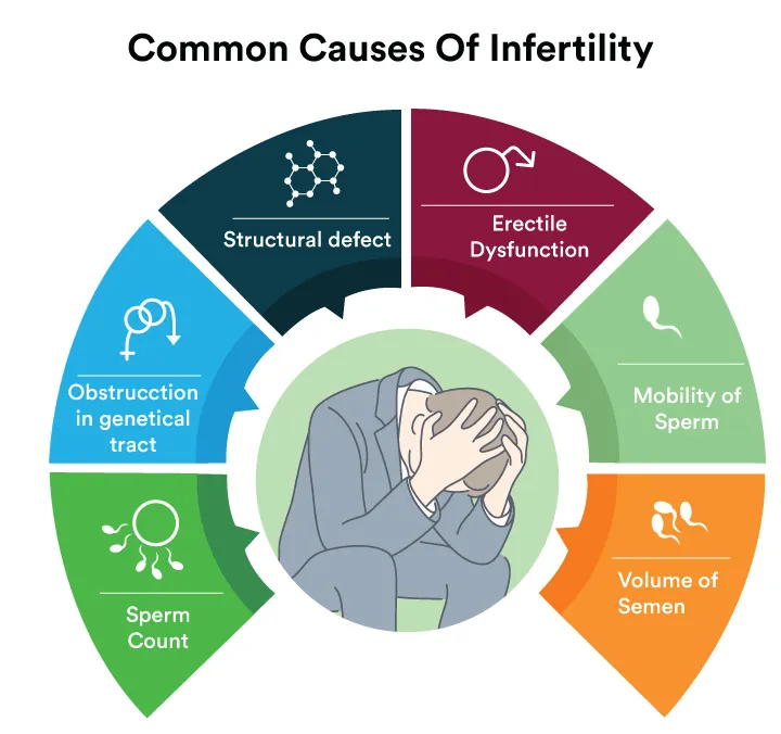 Male Infertility